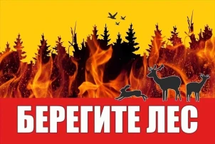 Берегите лес от пожара! Берегите лес от пожара!.